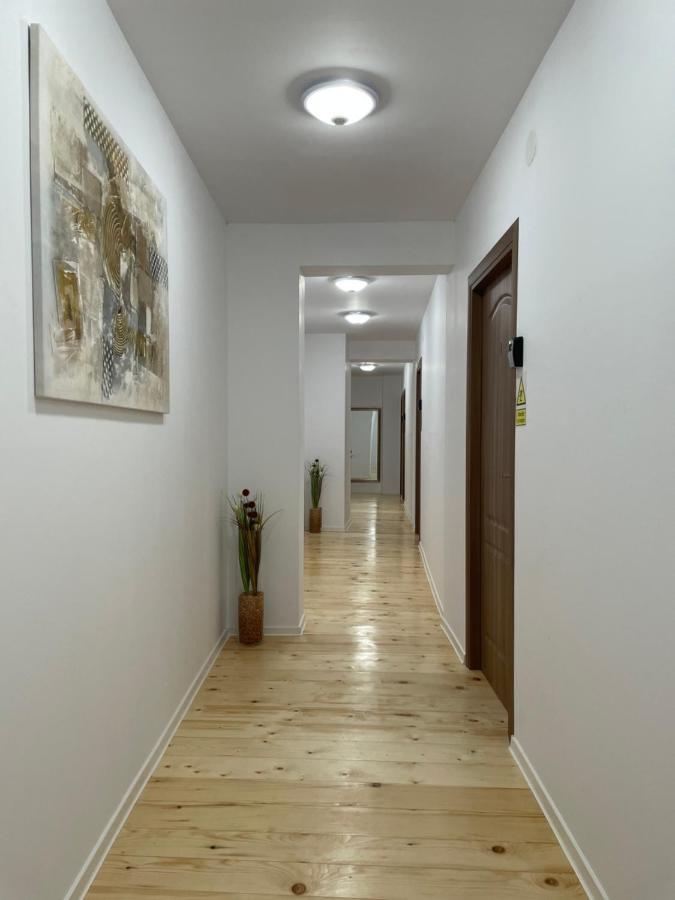Schei Central Studios In The Heart Of 布拉索夫 外观 照片