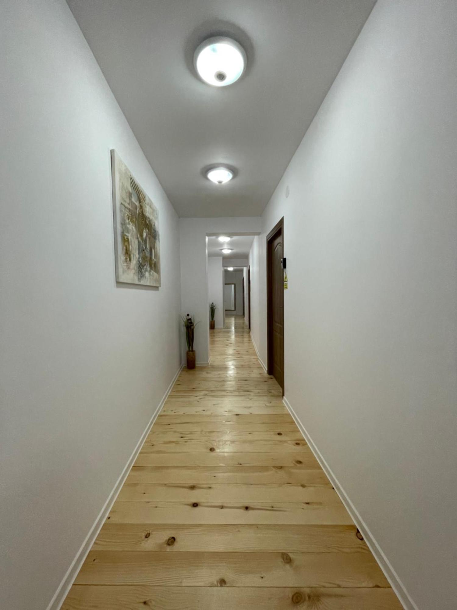 Schei Central Studios In The Heart Of 布拉索夫 外观 照片